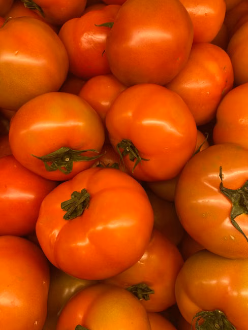 Tomate Italiano (kg)